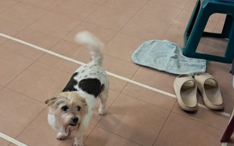 WhatsApp Image 2025-10-02 at 16.23.14